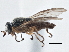  ( - CCDB-21411-G07)  @15 [ ] CreativeCommons - Attribution (2014) CBG Photography Group Centre for Biodiversity Genomics
