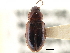  ( - CCDB-21413-B04)  @11 [ ] CreativeCommons - Attribution (2014) CBG Photography Group Centre for Biodiversity Genomics