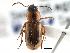  ( - CCDB-21413-D04)  @11 [ ] CreativeCommons - Attribution (2014) CBG Photography Group Centre for Biodiversity Genomics