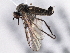  ( - CCDB-21421-B04)  @13 [ ] CreativeCommons - Attribution (2014) CBG Photography Group Centre for Biodiversity Genomics