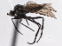  ( - CCDB-21421-C04)  @13 [ ] CreativeCommons - Attribution (2014) CBG Photography Group Centre for Biodiversity Genomics