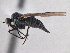  ( - CCDB-21421-D08)  @13 [ ] CreativeCommons - Attribution (2014) CBG Photography Group Centre for Biodiversity Genomics