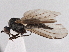  ( - CCDB-21421-E02)  @14 [ ] CreativeCommons - Attribution (2014) CBG Photography Group Centre for Biodiversity Genomics