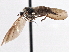  ( - CCDB-21421-E04)  @12 [ ] CreativeCommons - Attribution (2014) CBG Photography Group Centre for Biodiversity Genomics