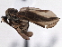  ( - CCDB-21421-G07)  @13 [ ] CreativeCommons - Attribution (2014) CBG Photography Group Centre for Biodiversity Genomics