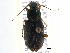  ( - CCDB-21431-D04)  @11 [ ] CreativeCommons - Attribution (2014) CBG Photography Group Centre for Biodiversity Genomics