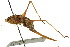  ( - CCDB-23290-C04)  @11 [ ] CreativeCommons - Attribution (2015) CBG Photography Group Centre for Biodiversity Genomics