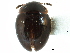  ( - CCDB-23294-A09)  @11 [ ] CreativeCommons - Attribution (2015) CBG Photography Group Centre for Biodiversity Genomics