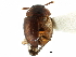  ( - CCDB-23294-A11)  @11 [ ] CreativeCommons - Attribution (2015) CBG Photography Group Centre for Biodiversity Genomics