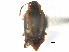  ( - CCDB-23295-G03)  @11 [ ] CreativeCommons - Attribution (2015) CBG Photography Group Centre for Biodiversity Genomics