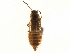  ( - CCDB-23295-H03)  @11 [ ] CreativeCommons - Attribution (2015) CBG Photography Group Centre for Biodiversity Genomics