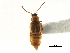  ( - CCDB-23295-H04)  @11 [ ] CreativeCommons - Attribution (2015) CBG Photography Group Centre for Biodiversity Genomics