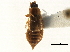  ( - CCDB-23295-H05)  @11 [ ] CreativeCommons - Attribution (2015) CBG Photography Group Centre for Biodiversity Genomics