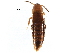  ( - CCDB-23297-B10)  @11 [ ] CreativeCommons - Attribution (2015) CBG Photography Group Centre for Biodiversity Genomics