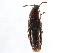  ( - CCDB-23297-B11)  @11 [ ] CreativeCommons - Attribution (2015) CBG Photography Group Centre for Biodiversity Genomics