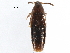  ( - CCDB-23297-C01)  @11 [ ] CreativeCommons - Attribution (2015) CBG Photography Group Centre for Biodiversity Genomics