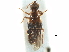  ( - CCDB-23298-A01)  @11 [ ] CreativeCommons - Attribution (2015) CBG Photography Group Centre for Biodiversity Genomics