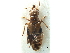  ( - CCDB-23298-A02)  @11 [ ] CreativeCommons - Attribution (2015) CBG Photography Group Centre for Biodiversity Genomics