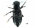  ( - CCDB-23298-B04)  @11 [ ] CreativeCommons - Attribution (2015) CBG Photography Group Centre for Biodiversity Genomics