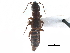  ( - CCDB-23298-F07)  @11 [ ] CreativeCommons - Attribution (2015) CBG Photography Group Centre for Biodiversity Genomics