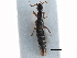  ( - CCDB-23298-H01)  @11 [ ] CreativeCommons - Attribution (2015) CBG Photography Group Centre for Biodiversity Genomics