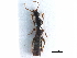  ( - CCDB-23298-H02)  @11 [ ] CreativeCommons - Attribution (2015) CBG Photography Group Centre for Biodiversity Genomics