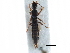  ( - CCDB-23298-H03)  @11 [ ] CreativeCommons - Attribution (2015) CBG Photography Group Centre for Biodiversity Genomics