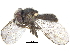  ( - CCDB-23301-B01)  @14 [ ] CreativeCommons - Attribution (2015) CBG Photography Group Centre for Biodiversity Genomics