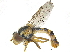  ( - CCDB-23301-B11)  @13 [ ] CreativeCommons - Attribution (2015) CBG Photography Group Centre for Biodiversity Genomics