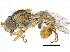  ( - CCDB-23301-C02)  @13 [ ] CreativeCommons - Attribution (2015) CBG Photography Group Centre for Biodiversity Genomics