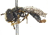  ( - CCDB-23301-C06)  @11 [ ] CreativeCommons - Attribution (2015) CBG Photography Group Centre for Biodiversity Genomics