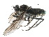  ( - CCDB-23302-G10)  @14 [ ] CreativeCommons - Attribution (2015) CBG Photography Group Centre for Biodiversity Genomics