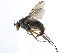  ( - CCDB-23302-H04)  @11 [ ] CreativeCommons - Attribution (2015) CBG Photography Group Centre for Biodiversity Genomics