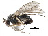  ( - CCDB-23302-H07)  @11 [ ] CreativeCommons - Attribution (2015) CBG Photography Group Centre for Biodiversity Genomics