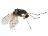  ( - CCDB-23302-H08)  @14 [ ] CreativeCommons - Attribution (2015) CBG Photography Group Centre for Biodiversity Genomics