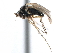  ( - CCDB-23302-H11)  @14 [ ] CreativeCommons - Attribution (2015) CBG Photography Group Centre for Biodiversity Genomics