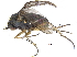  ( - CCDB-23303-A02)  @13 [ ] CreativeCommons - Attribution (2015) CBG Photography Group Centre for Biodiversity Genomics