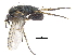  ( - CCDB-23303-A08)  @15 [ ] CreativeCommons - Attribution (2015) CBG Photography Group Centre for Biodiversity Genomics