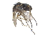  ( - CCDB-23303-A10)  @14 [ ] CreativeCommons - Attribution (2015) CBG Photography Group Centre for Biodiversity Genomics