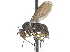  ( - CCDB-23303-B02)  @15 [ ] CreativeCommons - Attribution (2015) CBG Photography Group Centre for Biodiversity Genomics