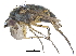  ( - CCDB-23303-B10)  @11 [ ] CreativeCommons - Attribution (2015) CBG Photography Group Centre for Biodiversity Genomics