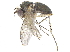 ( - CCDB-23303-C03)  @14 [ ] CreativeCommons - Attribution (2015) CBG Photography Group Centre for Biodiversity Genomics