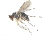  ( - CCDB-23303-C04)  @11 [ ] CreativeCommons - Attribution (2015) CBG Photography Group Centre for Biodiversity Genomics
