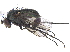  ( - CCDB-23303-F09)  @11 [ ] CreativeCommons - Attribution (2015) CBG Photography Group Centre for Biodiversity Genomics