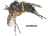  ( - CCDB-23303-G06)  @11 [ ] CreativeCommons - Attribution (2015) CBG Photography Group Centre for Biodiversity Genomics