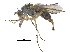  ( - CCDB-23303-H07)  @14 [ ] CreativeCommons - Attribution (2015) CBG Photography Group Centre for Biodiversity Genomics