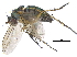  ( - CCDB-23303-H08)  @11 [ ] CreativeCommons - Attribution (2015) CBG Photography Group Centre for Biodiversity Genomics