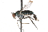  ( - CCDB-23304-B04)  @13 [ ] CreativeCommons - Attribution (2015) CBG Photography Group Centre for Biodiversity Genomics