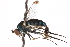  ( - CCDB-23304-B06)  @13 [ ] CreativeCommons - Attribution (2015) CBG Photography Group Centre for Biodiversity Genomics