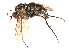  ( - CCDB-23304-B12)  @11 [ ] CreativeCommons - Attribution (2015) CBG Photography Group Centre for Biodiversity Genomics